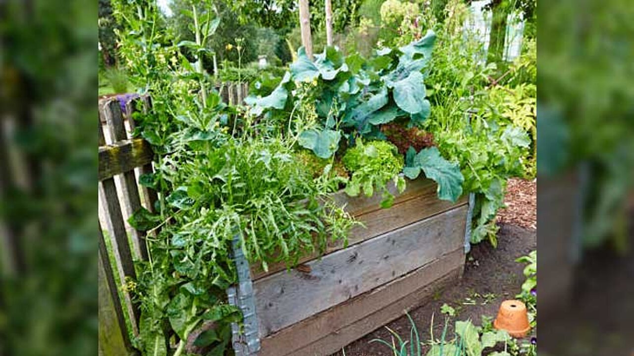Universal Bio Hochbeet