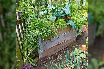 Universal Bio Hochbeet