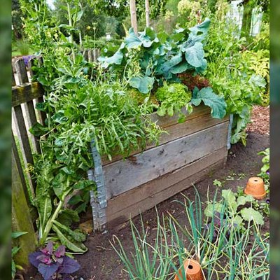 Universal Bio Hochbeet