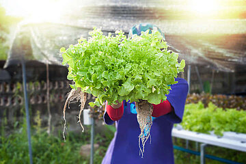 Salat