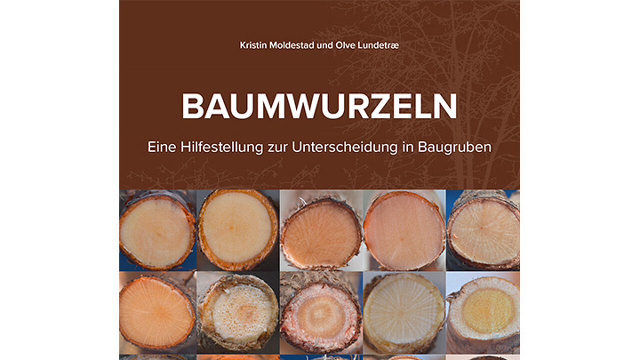 Buch Baumwurzeln