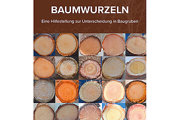 Buch Baumwurzeln