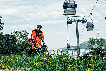 Husqvarna-Freischneider