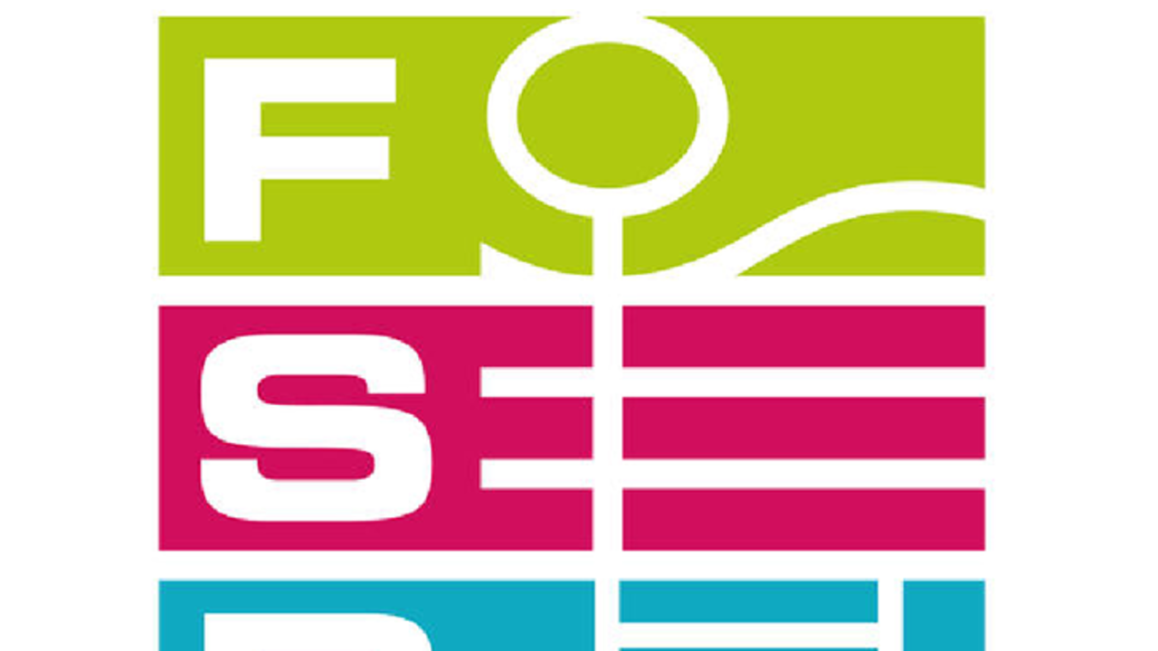 FSB-Logo