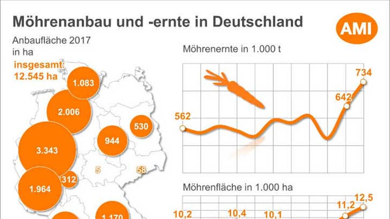 Möhre