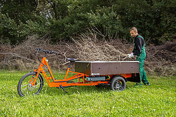 Lastenrad