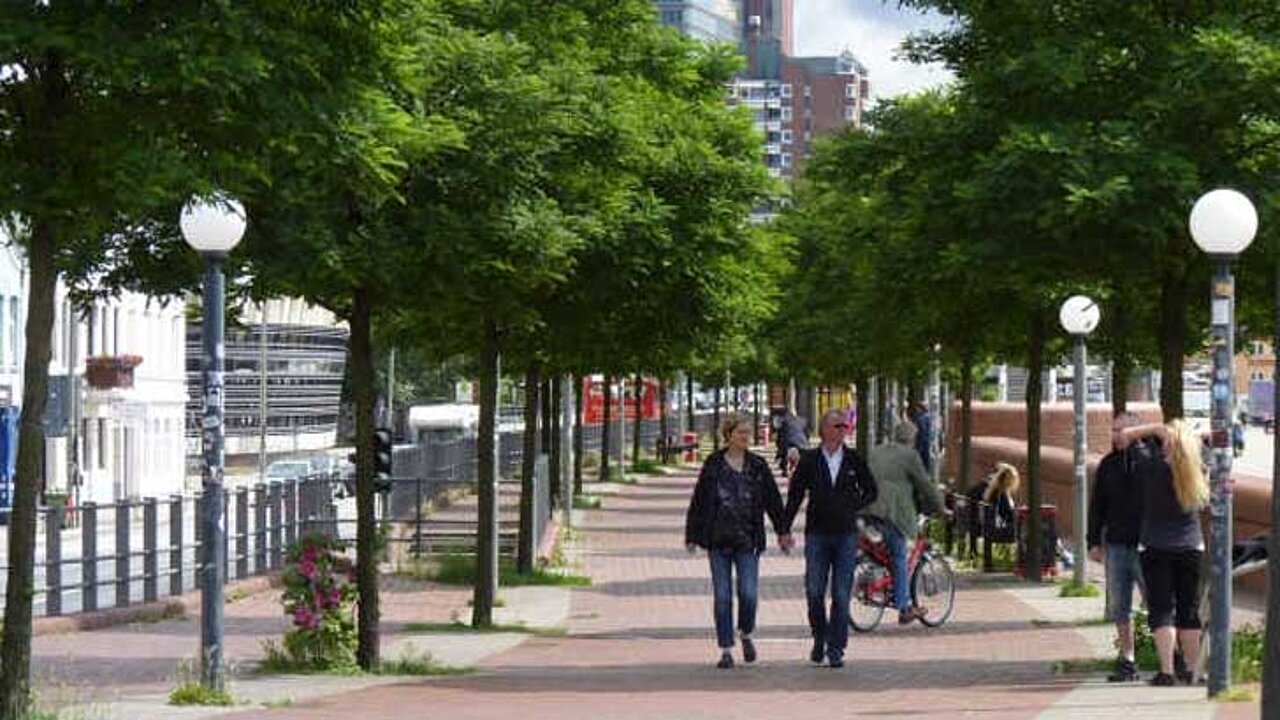 Grün in der Stadt