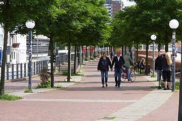 Grün in der Stadt