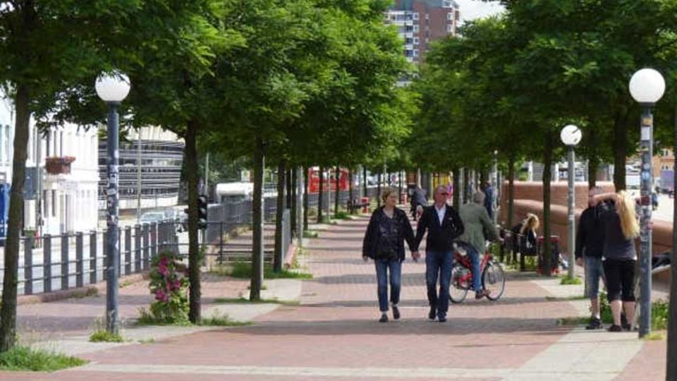Grün in der Stadt