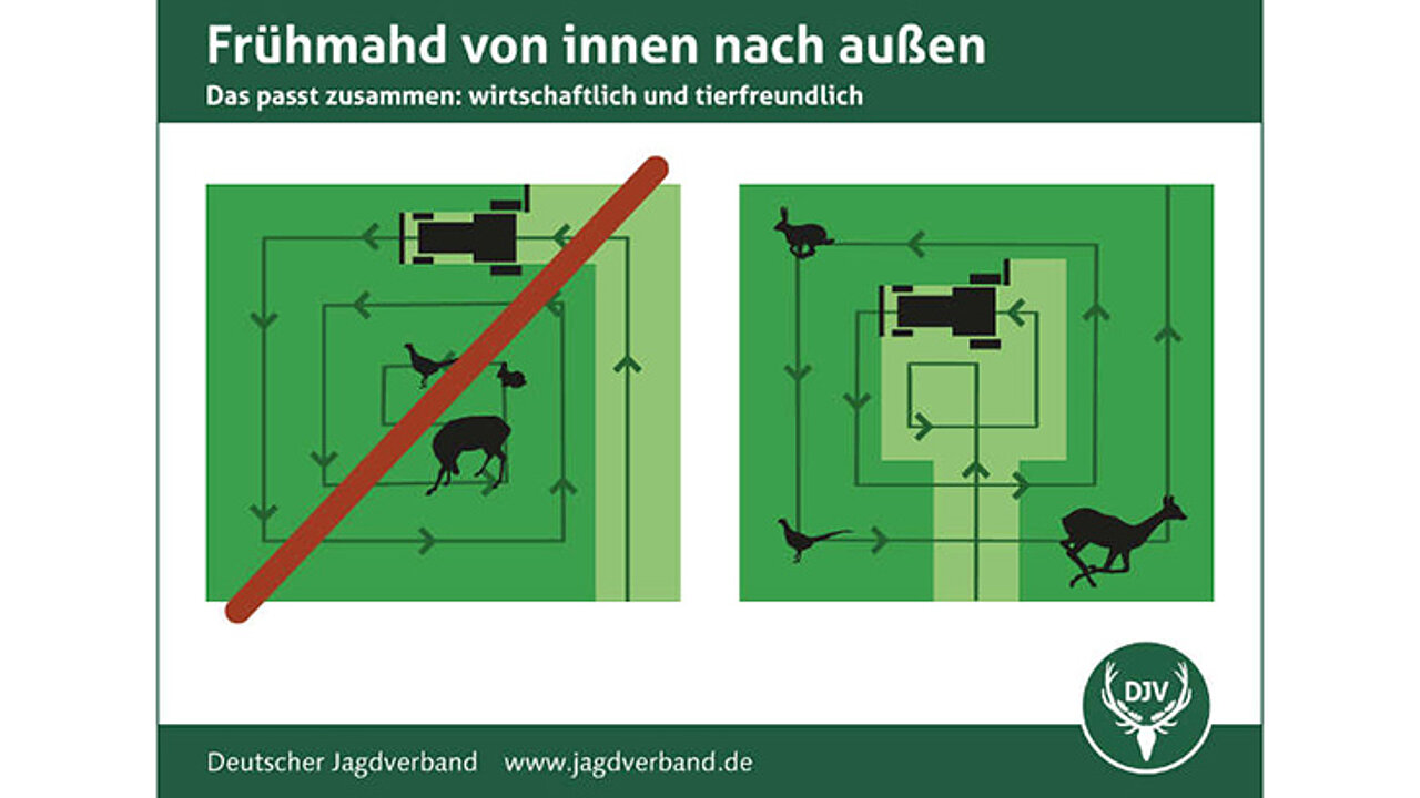 Frühmahd
