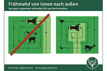 Frühmahd