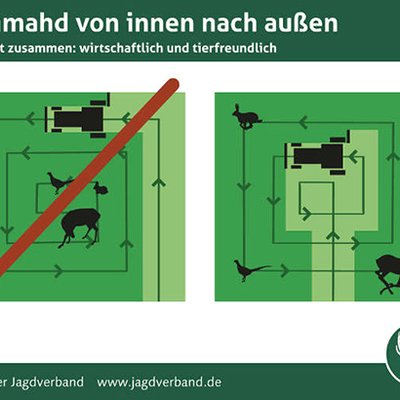 Frühmahd