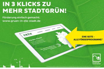 Förderprogramme zur Grünentwicklung