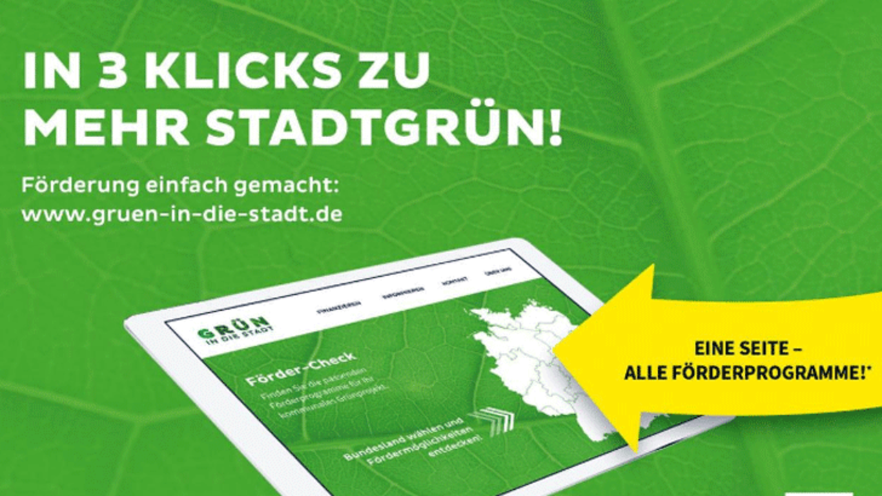 Förderprogramme zur Grünentwicklung
