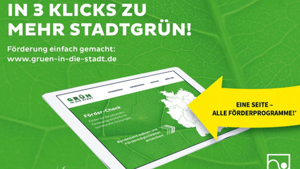 Förderprogramme zur Grünentwicklung