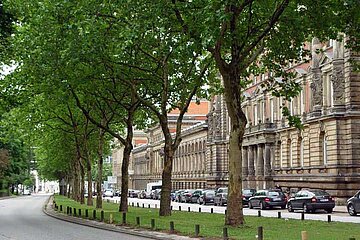 Stadtbäume