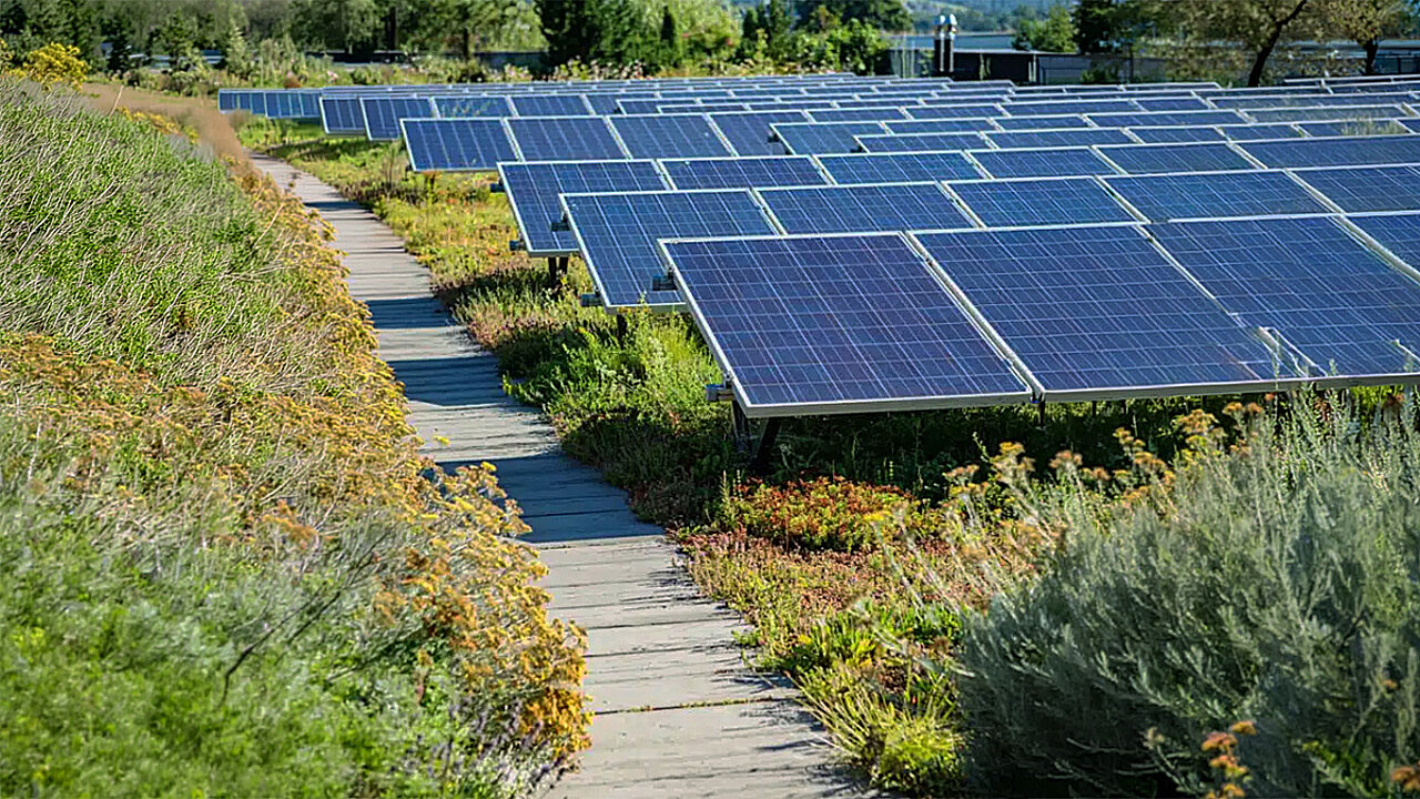 Sempergreen Solar-Gründach