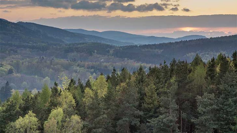 Thüringer Wald