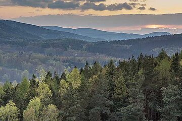 Thüringer Wald