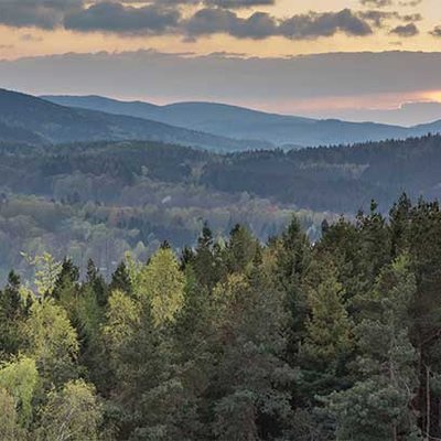 Thüringer Wald