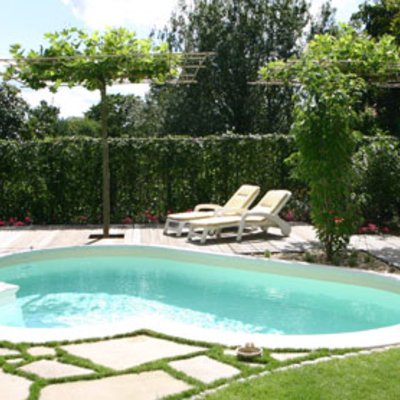 Hecke am laufenden Meter