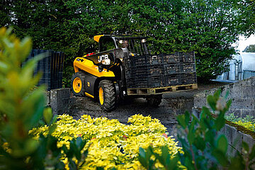 JCB-kompaktlader