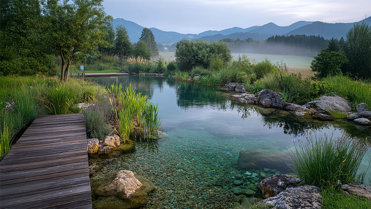 Naturpool