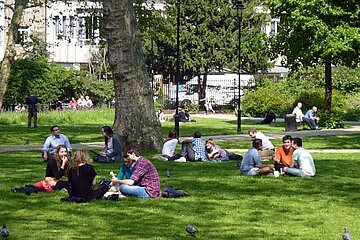grüne Stadt