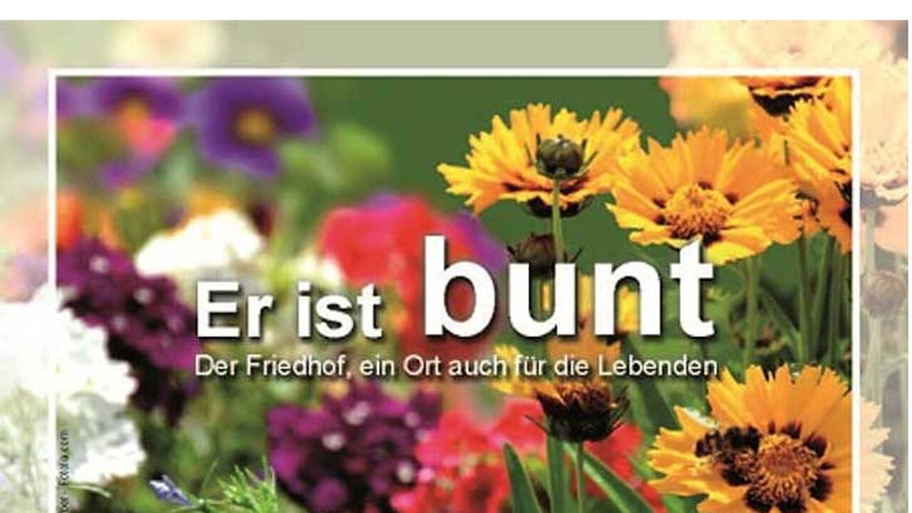 Motiv der Kampagne