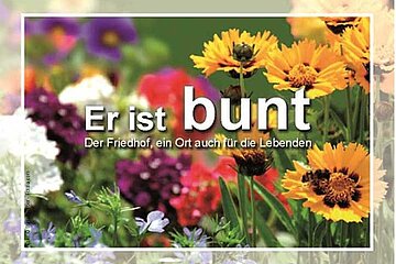 Motiv der Kampagne