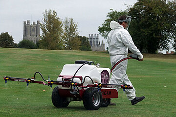 Image-4811