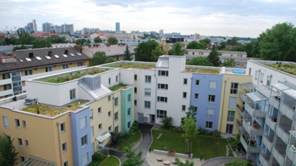 Gründach