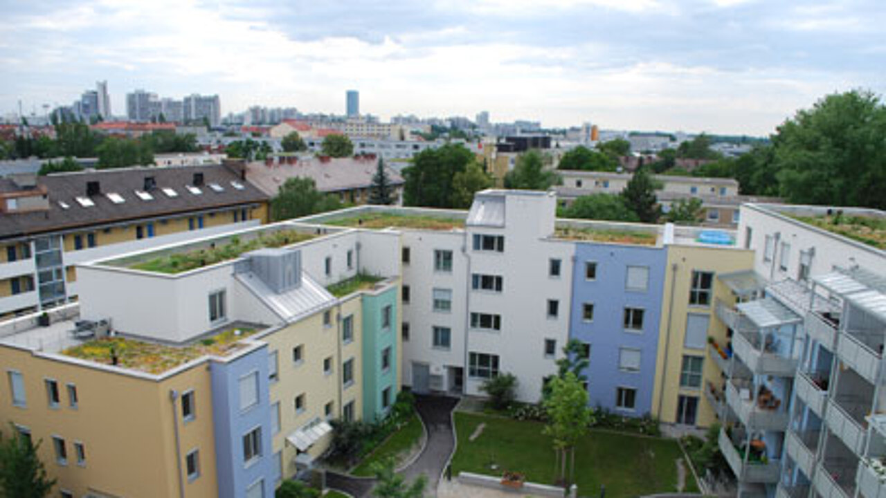 Gründach