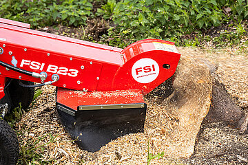 VOGT Baumstumpffräse B23