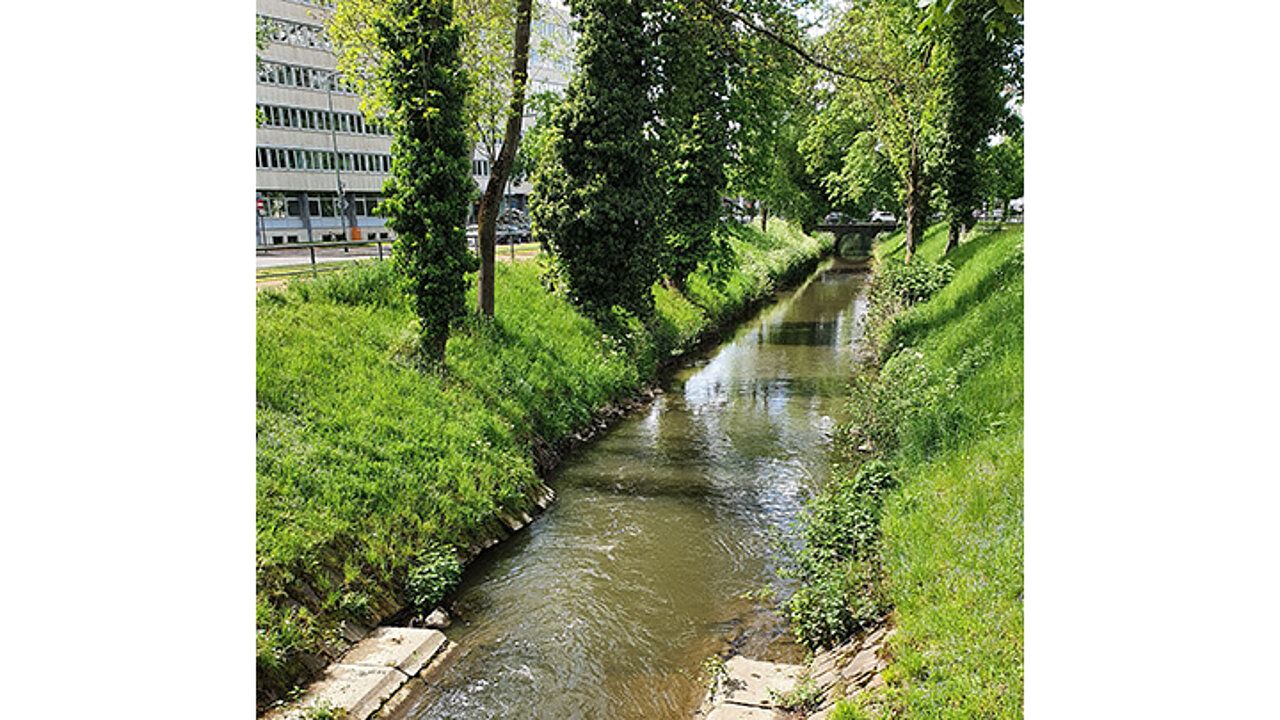 image-14925