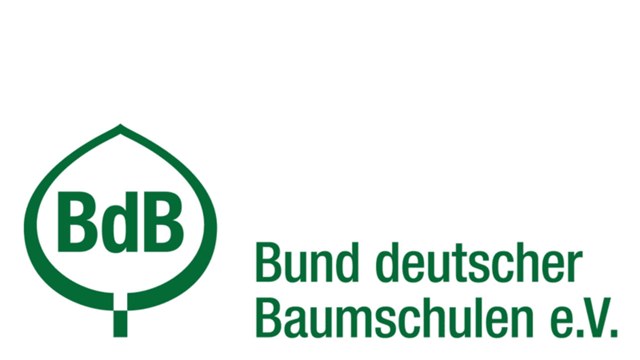 BdB Logo