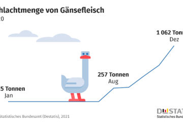 Grafik Entwicklung