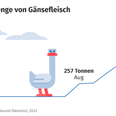 Grafik Entwicklung