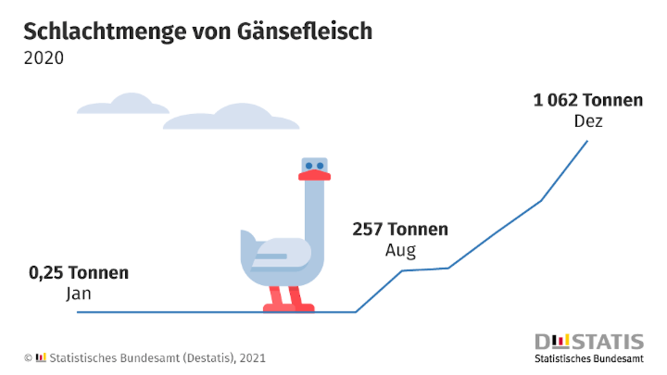 Grafik Entwicklung