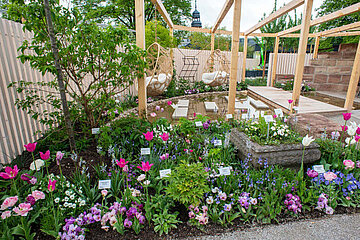 Image-13106