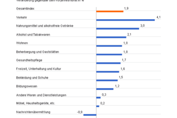 Verbraucherpreise Januar 2017