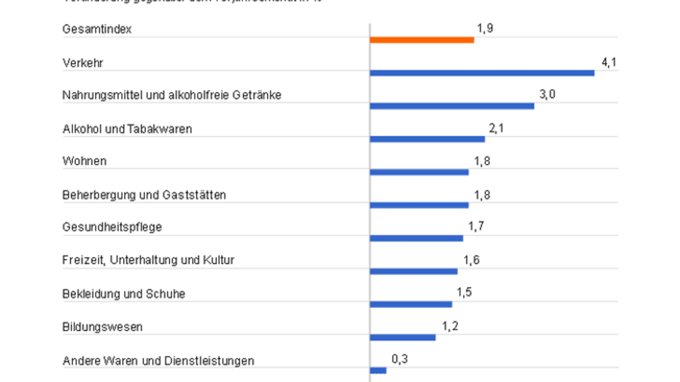 Verbraucherpreise Januar 2017
