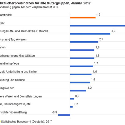 Verbraucherpreise Januar 2017