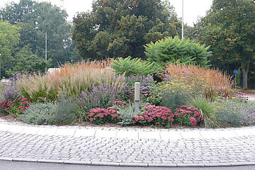 Image-13645