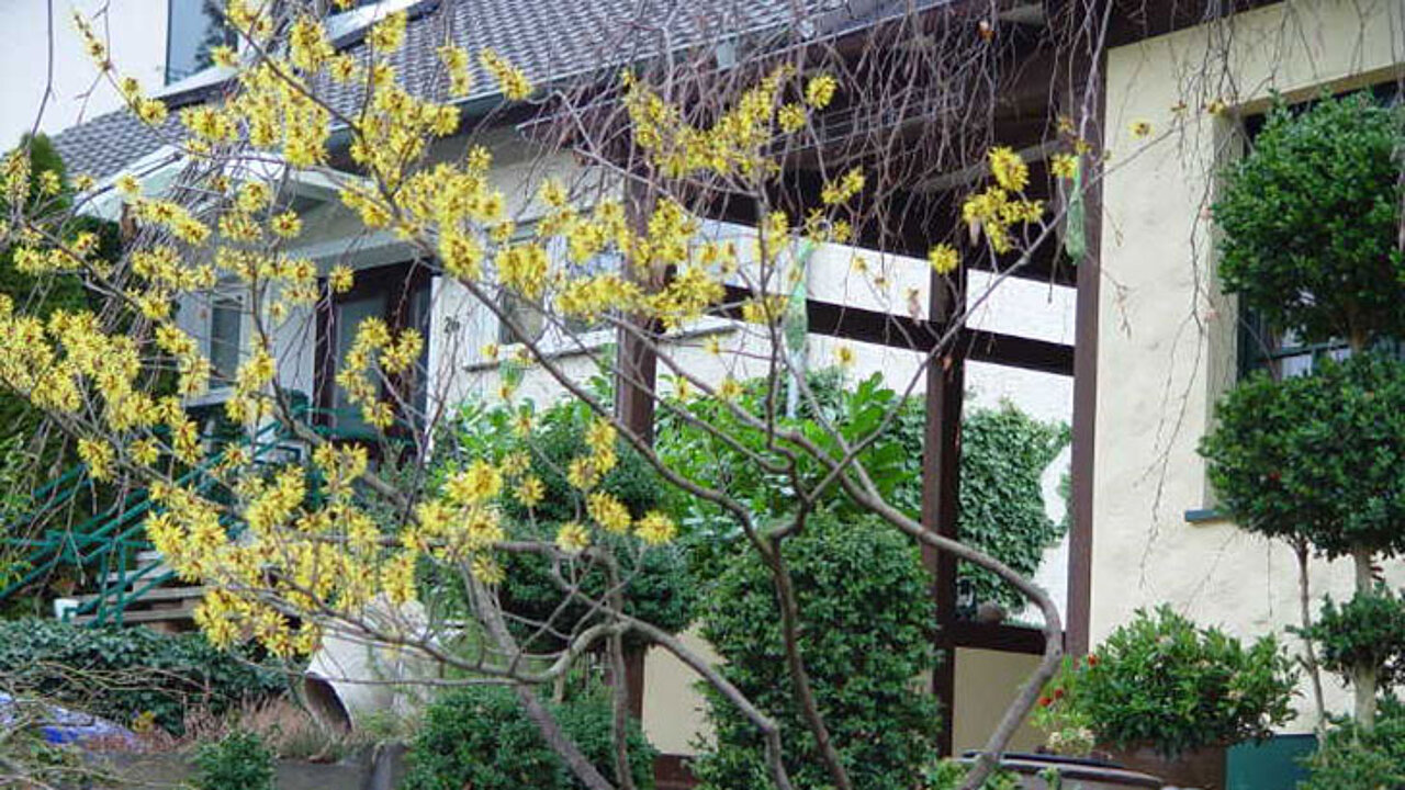 Vorgarten