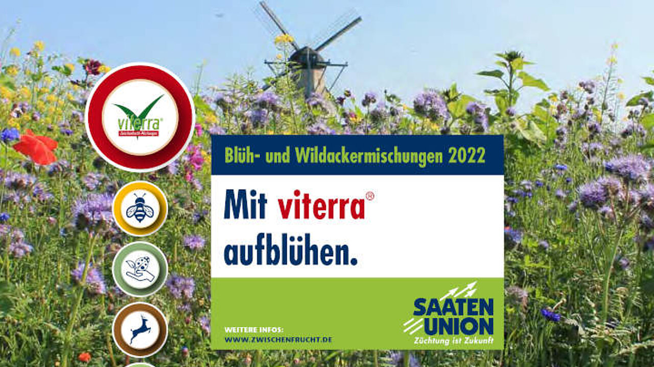 image-14467