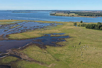 Image-19117