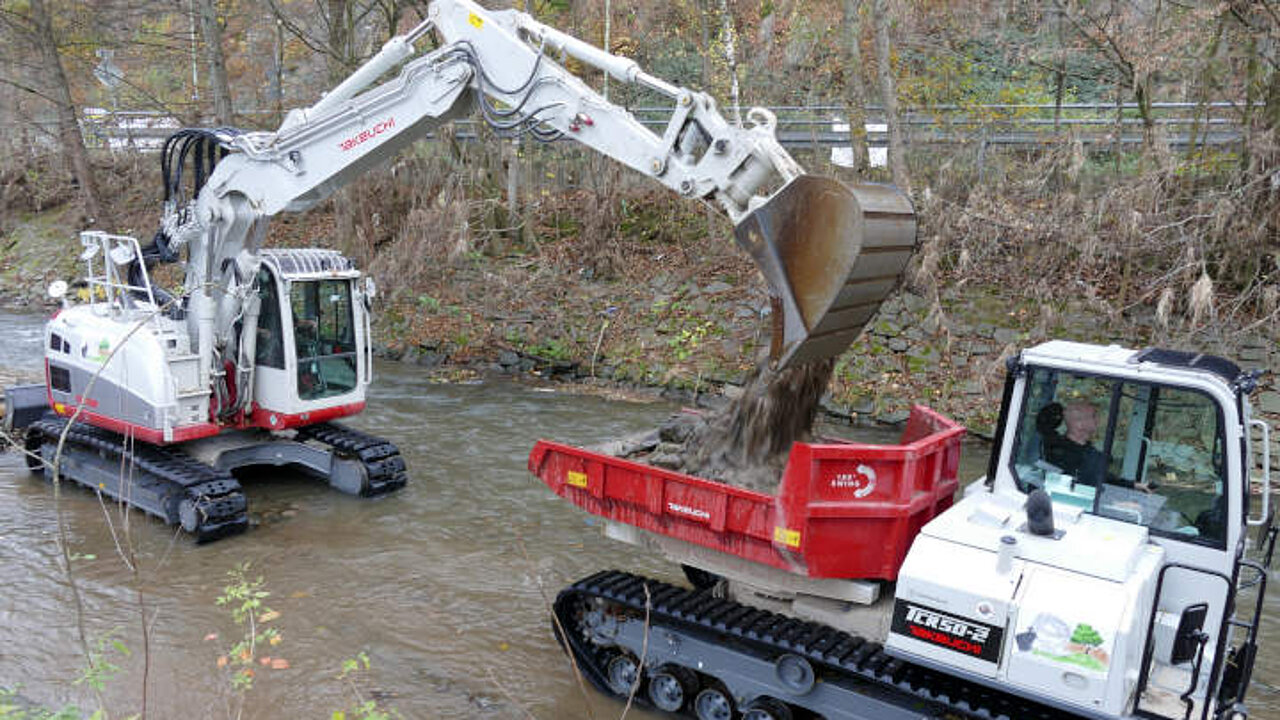 Bagger und Dumper