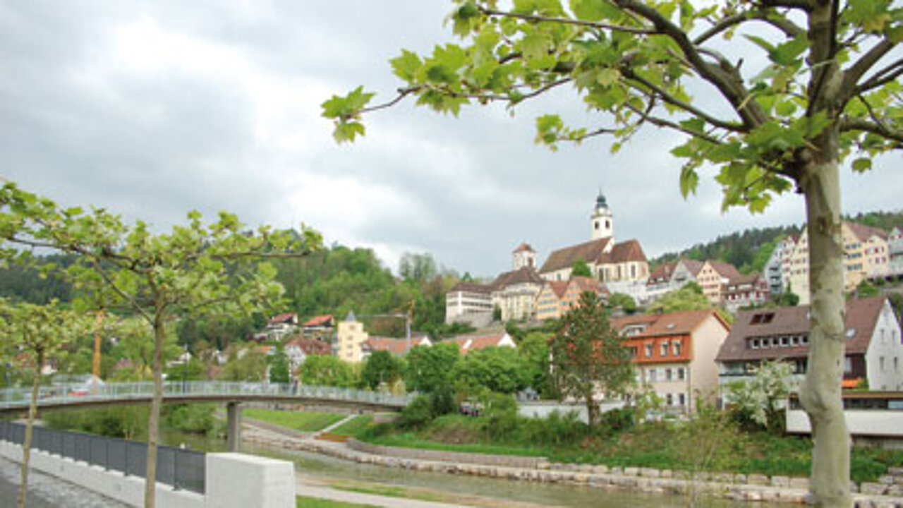 Neckarblühen Horb 2011