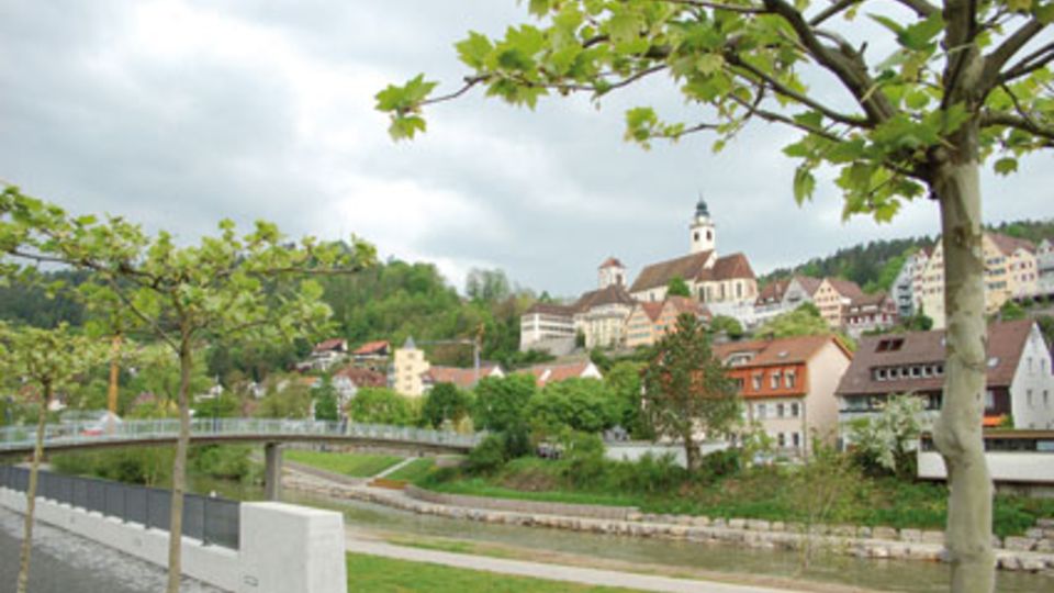 Neckarblühen Horb 2011